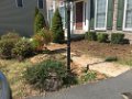 Yard Pics